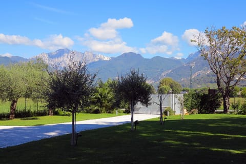Day, Garden, Mountain view