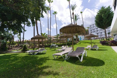 Garden, Garden view, sunbed