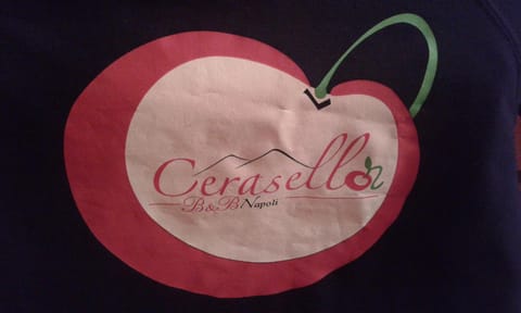 Cerasella B&B Bed and Breakfast in Naples