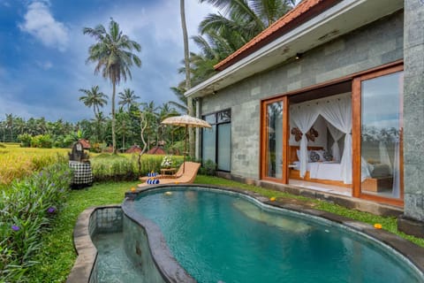 Natural landscape, Garden, Swimming pool