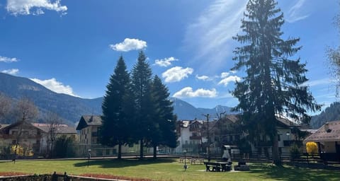 Natural landscape, Garden