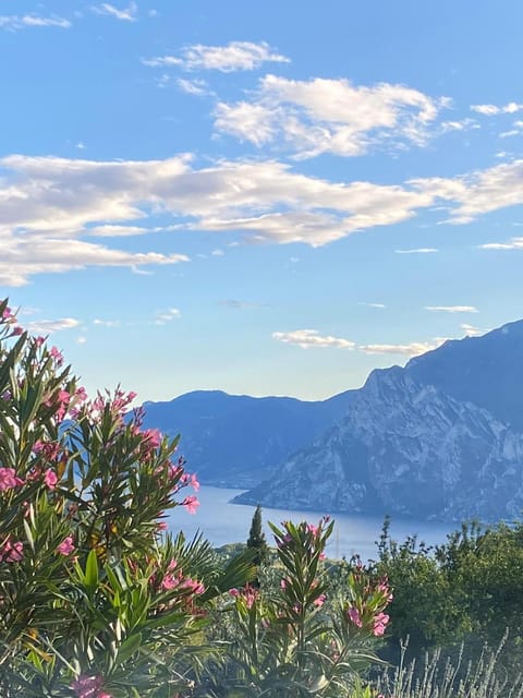 Lake view, Lake view