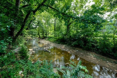 Spring, Day, Natural landscape, River view