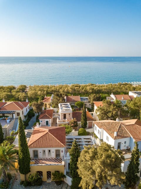 Property building, Neighbourhood, Bird's eye view