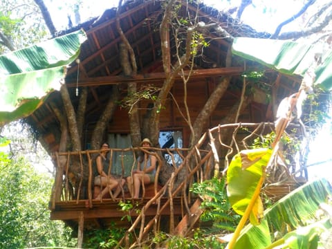 Habarana Tree House Ambasewana Resort Resort in Sri Lanka