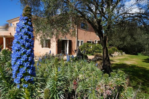 Property building, Facade/entrance, Day, Garden