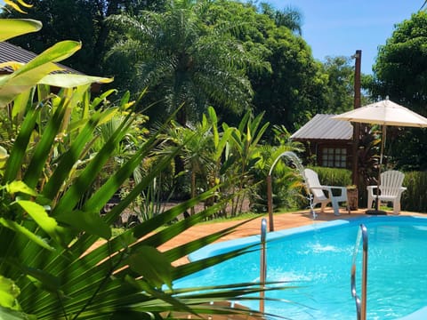 Spring, Pool view, Swimming pool, sunbed