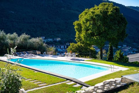 Natural landscape, Garden, Garden view, Pool view, Swimming pool, sunbed