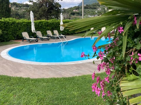 Natural landscape, Pool view, Swimming pool, Swimming pool