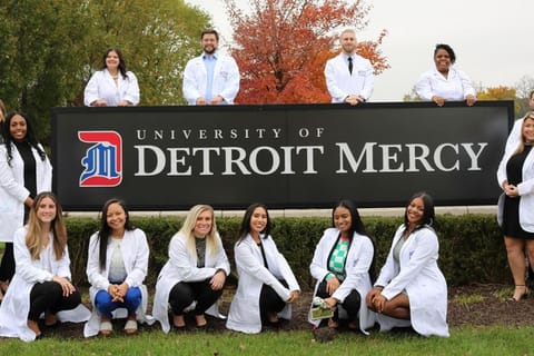 Semi Finished Basement with Pvt Bath Pvt Living Rm and pull out couch House in Westland