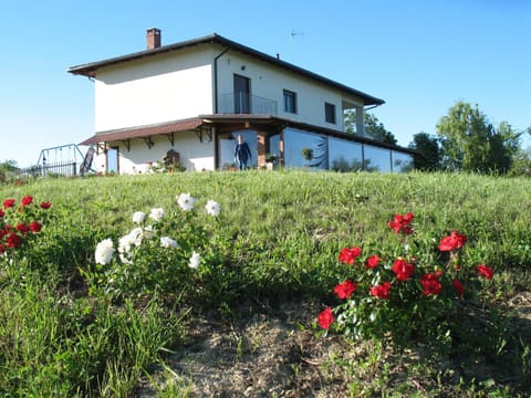 Natural landscape, Garden