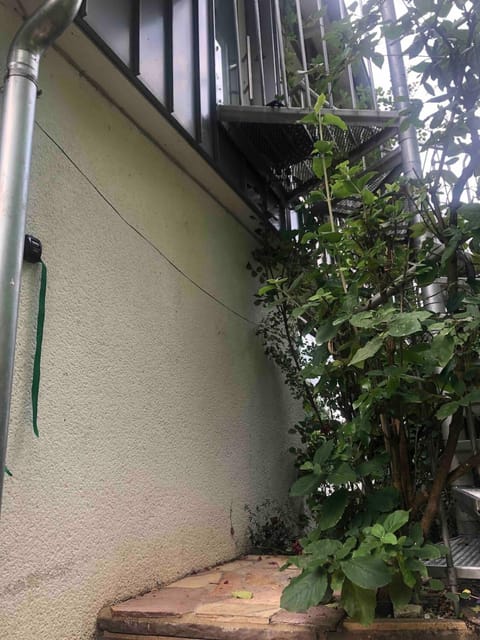 Brühl, FeWo am Heider Bergsee - 3 Sterne DTV Apartment in Brühl