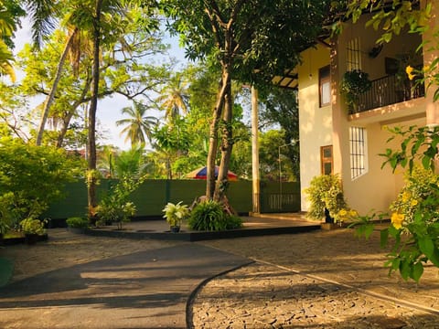 Property building, Summer, Garden