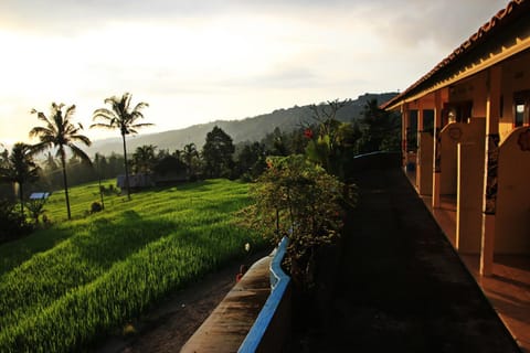 Balcony/Terrace, Garden view, Sunset