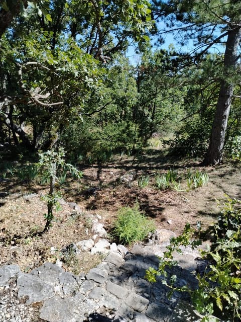 maison de 4000m2 House in Sault