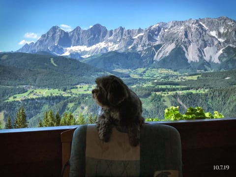 Balcony/Terrace, Mountain view