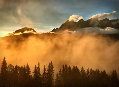 Natural landscape
