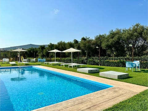 Garden, Pool view, Swimming pool, sunbed