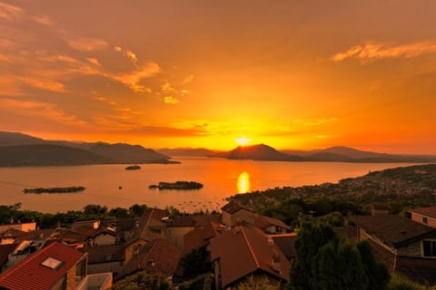 Lake view