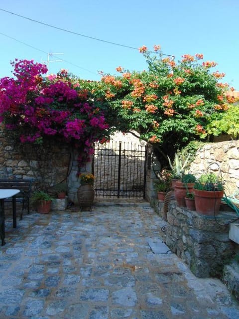 Olga's House Condo in Messenia