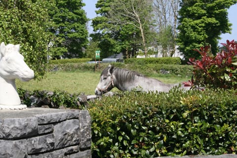 Property building, View (from property/room), Animals