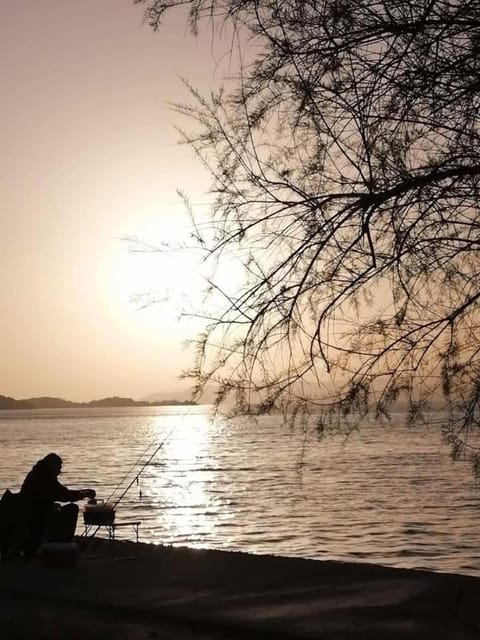 Cactus luxury apartment Oreoi Apartment in Euboea