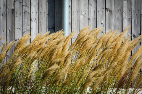 Maasparcje ecoLodge K2 Roermond House in Roermond