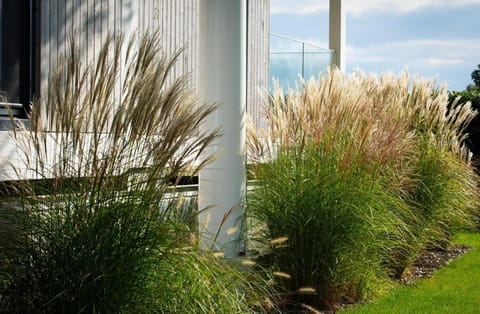 Day, Garden, Garden view