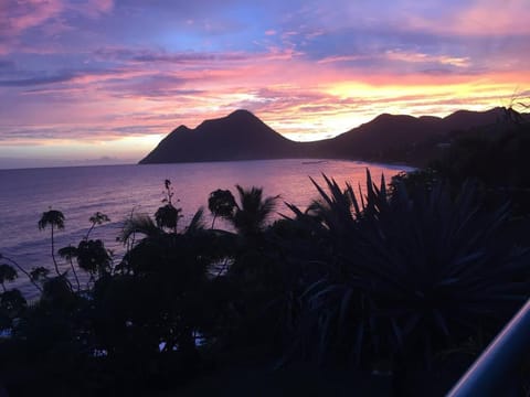 Le chant du Diamant calme vue mer et plage à 50 m Copropriété in Le Diamant