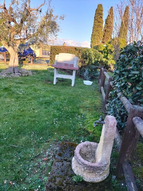 BBQ facilities, Garden