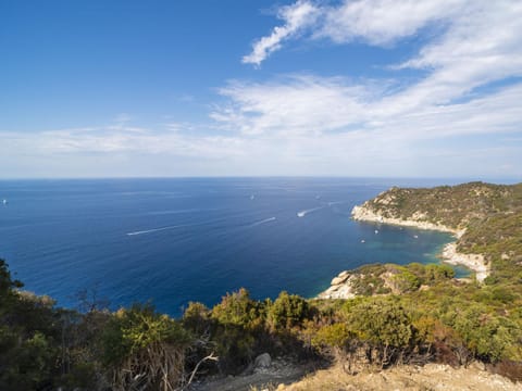 Apartment Borgo Patresi-2 by Interhome Apartment in Tuscany