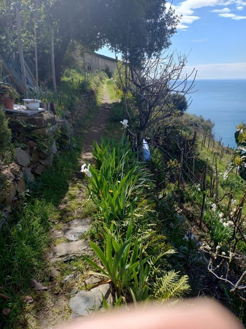 La luna in pesci House in Province of Massa and Carrara