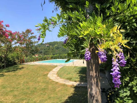 Garden, Garden view, Pool view, Swimming pool