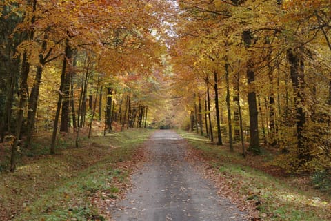 Hiking, Autumn