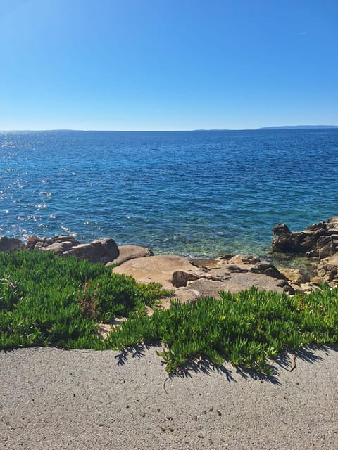 Bravarica blue Apartment in Novalja