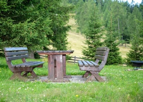 Almhütte Tamberger für 6 Personen in der Feldpann-Alm House in Carinthia, Austria
