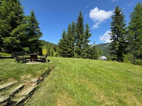 Almhütte Tamberger für 6 Personen in der Feldpann-Alm House in Carinthia, Austria