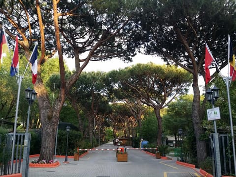 Natural landscape, Street view
