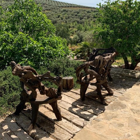 Day, Natural landscape, Garden, Garden view