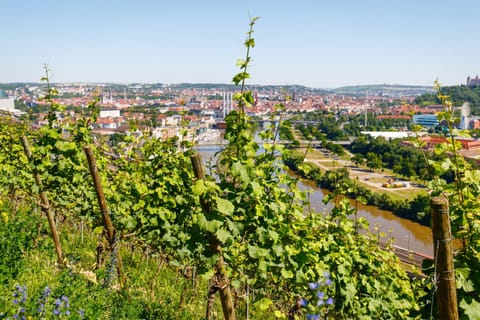 Natural landscape, City view