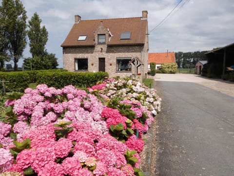 Facade/entrance, Garden