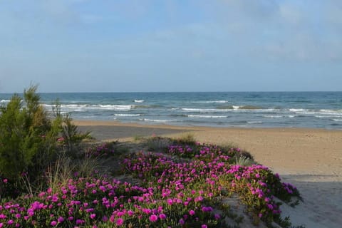 Natural landscape, Beach, Hiking, Sea view
