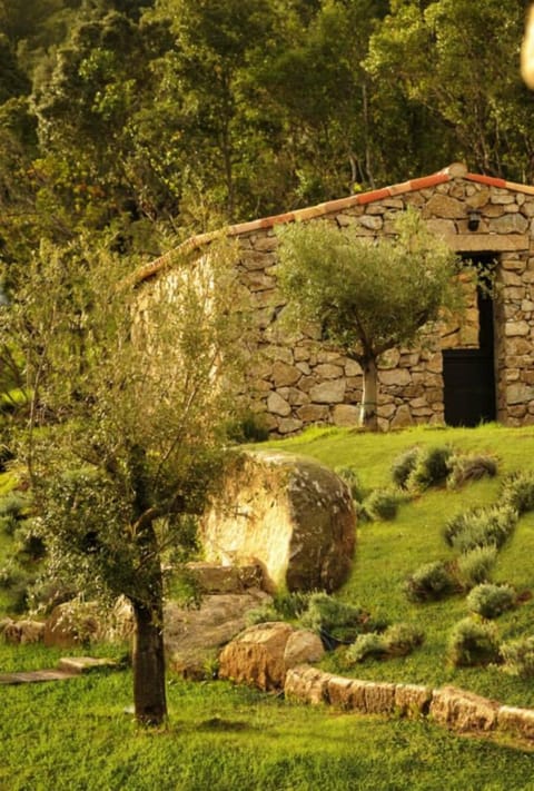 Bergerie du Prunelli Bed and Breakfast in Corsica