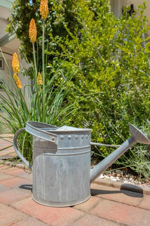 Serene Retreat with Hot Tub - Fire Pit - Deck House in Forestville