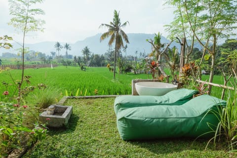 Green vanilla kabin House in Sidemen