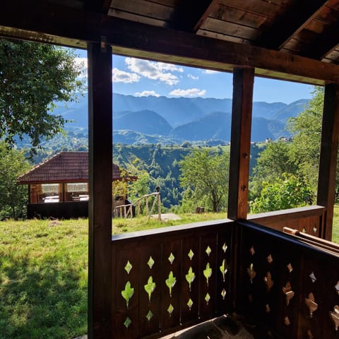 Natural landscape, View (from property/room), Balcony/Terrace, Mountain view