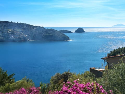 Residence Capo Morcone Apartment in Tuscany