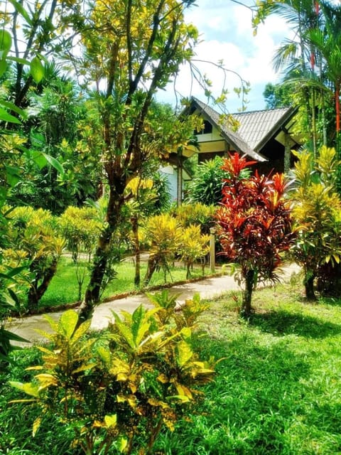 Tree Tops River Huts Resort in Khlong Sok
