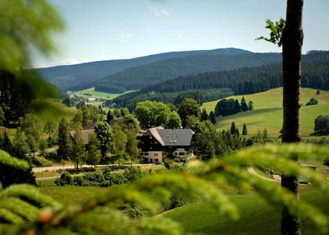 Property building, Natural landscape, Mountain view