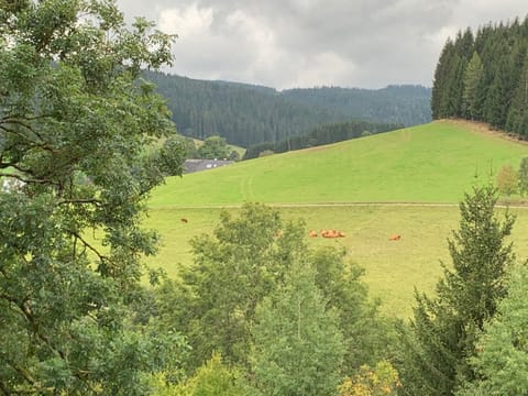 Kuckucksnest Jostal Condo in Titisee-Neustadt